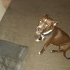 thekidd56831st